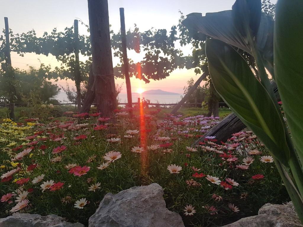 Agriturismo Del Sole Anacapri  Zewnętrze zdjęcie