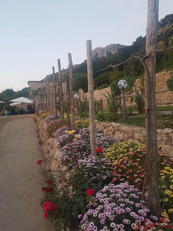 Agriturismo Del Sole Anacapri  Zewnętrze zdjęcie