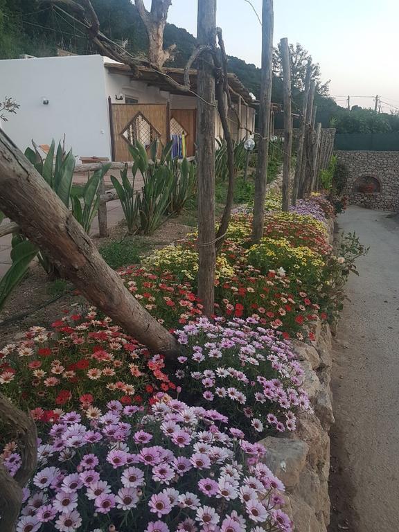 Agriturismo Del Sole Anacapri  Zewnętrze zdjęcie