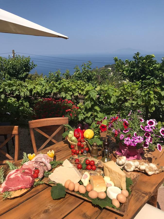 Agriturismo Del Sole Anacapri  Zewnętrze zdjęcie